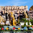 Tiger Topia Sriracha Zoo