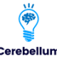 cerebellumacademy