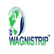 wagnistrip