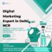 Digital Marketing Experts in Delhi NCR