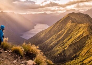 How to Book the Best New Zealand Tour: Companies, Tips & What to Avoid