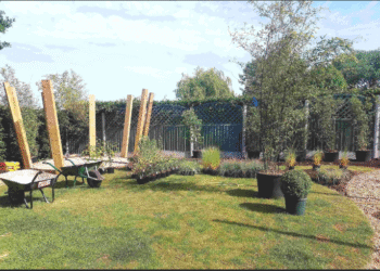 Garden Designers Crewe
